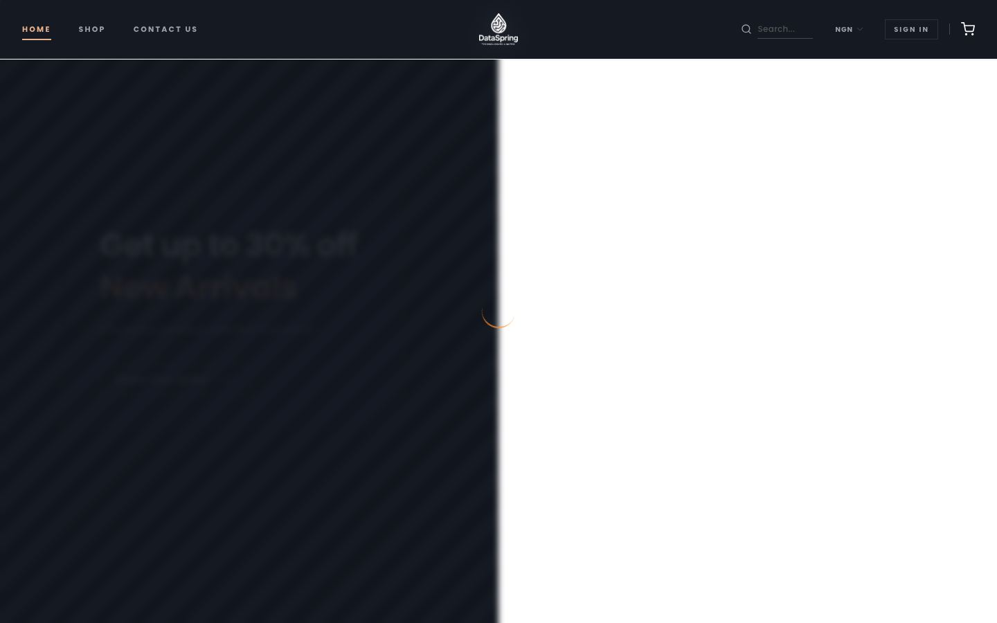 DataSpring Technologies hero preview